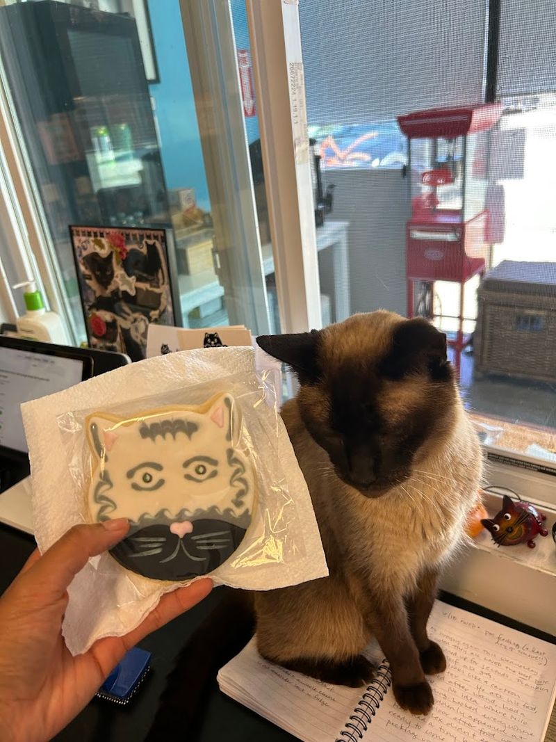 Baked Treats And Beverages That Match The Mood