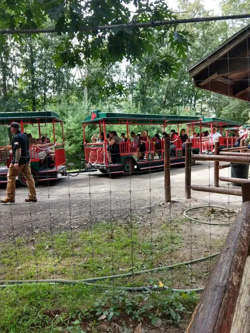 Rides And Attractions For Every Age Group