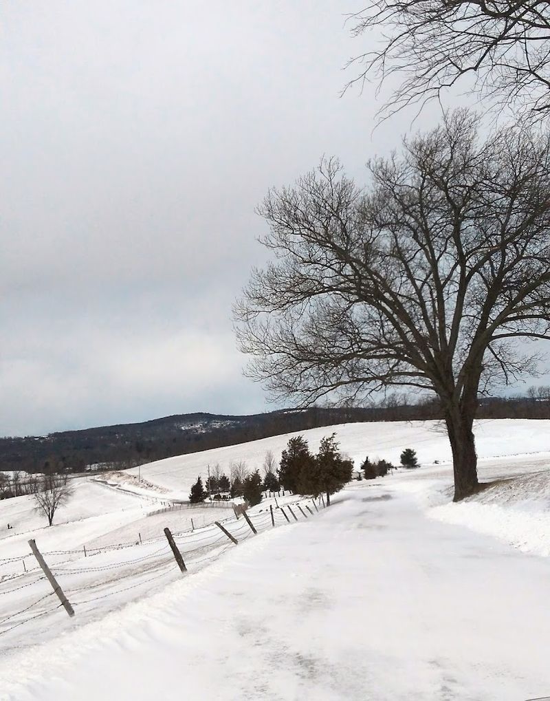 Four Seasons Of Natural Beauty Right Outside Your Door