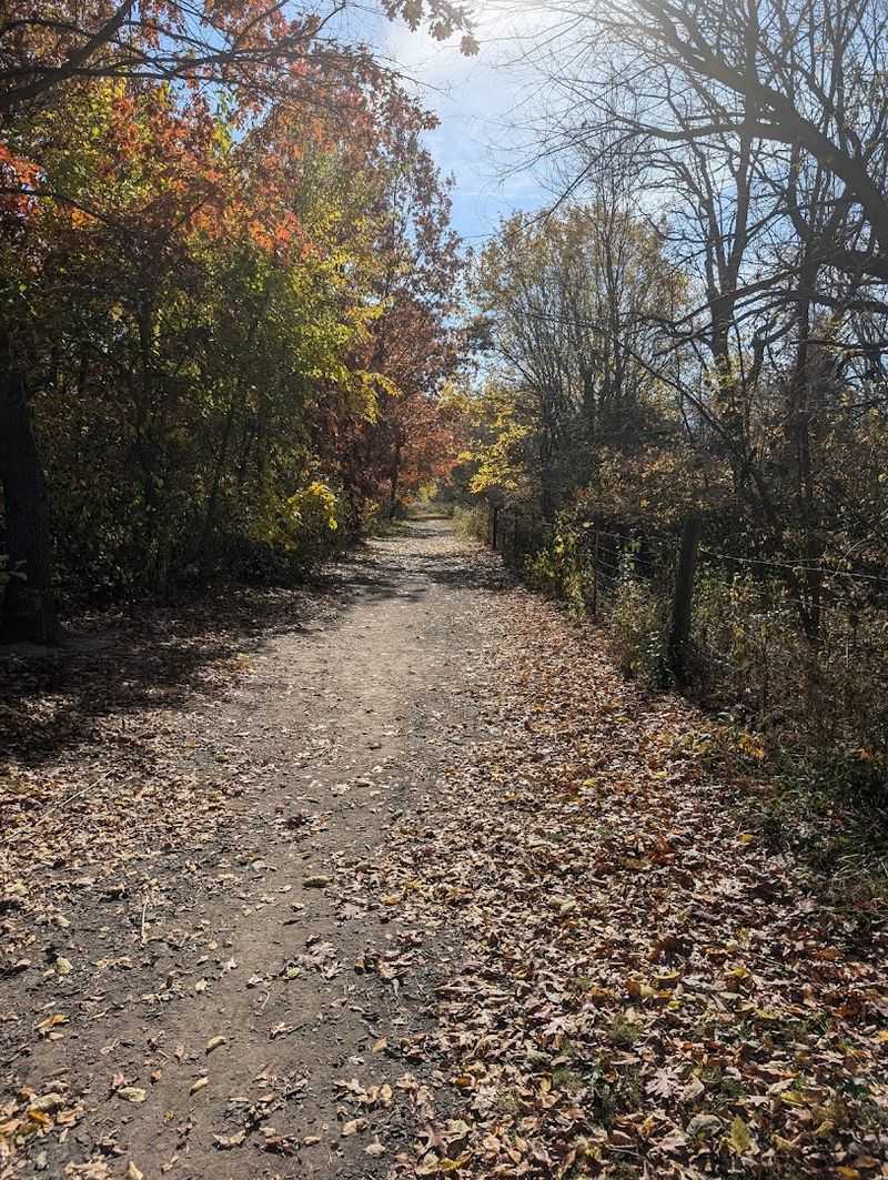 Plenty Of Space For Social And Solo Play