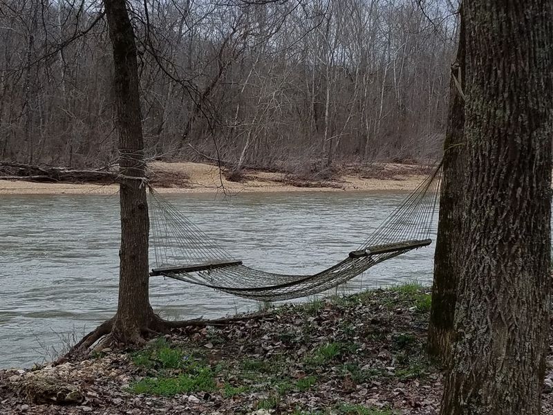 Unique Wildlife Along The Riverbanks