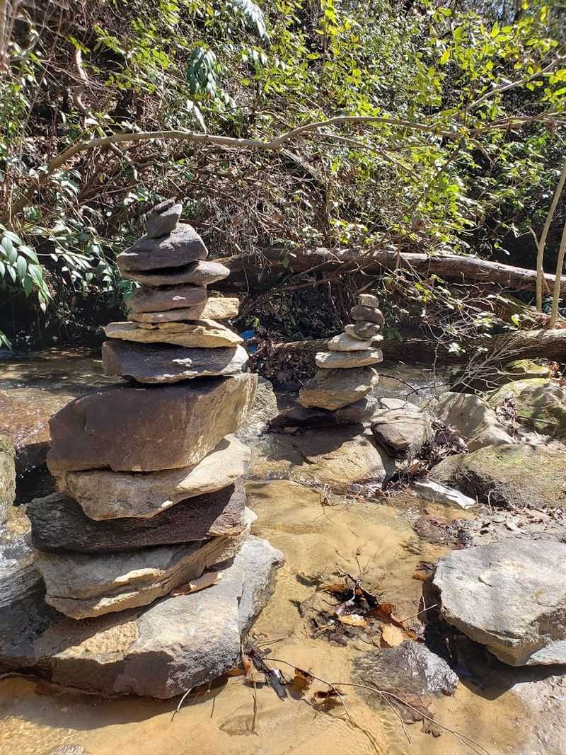 Local Flora And Fauna Surrounding The Waterfall