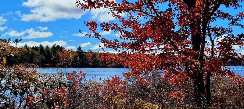 Fall Colors That Turn The Loop Into Something Else Entirely