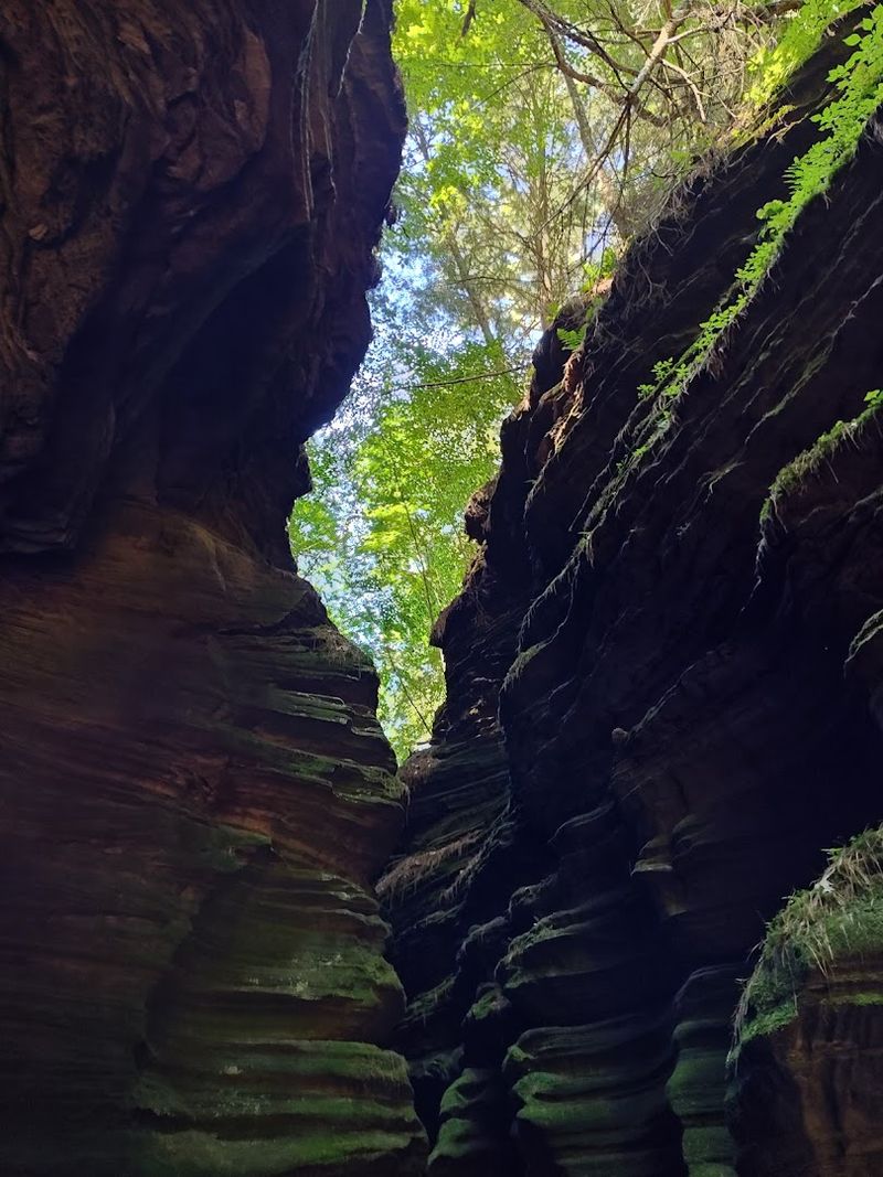 Why This One-Mile Hike Stays With You