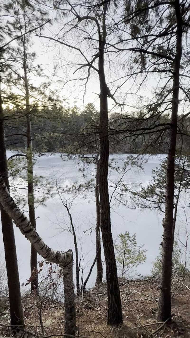 Close Proximity To The Lake Means Views Appear Frequently