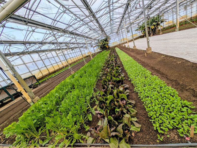 The Farm Tour Experience That Changes How You See Food