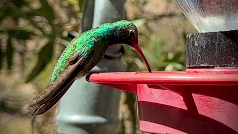 What Makes This Place Bucket-List Worthy