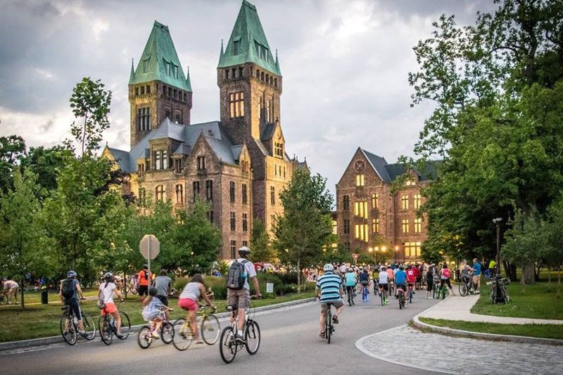 The Olmsted Grounds And The Open Space That Frames The Property