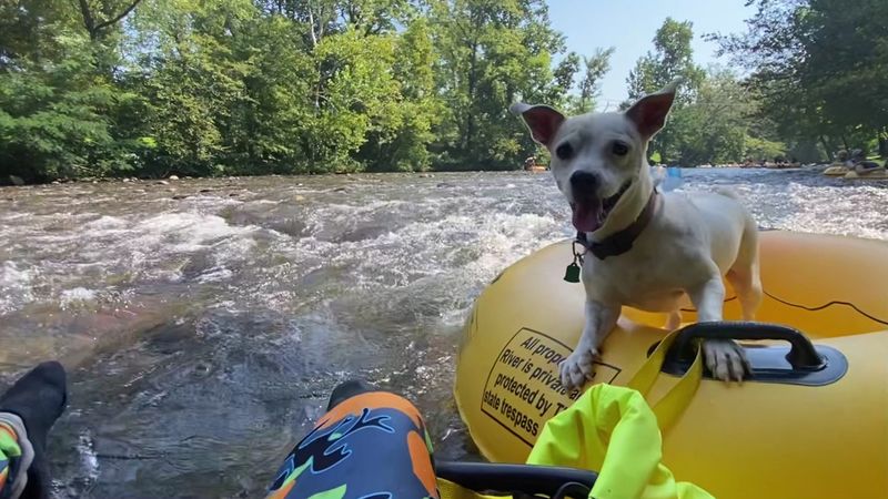Outpost A Float Trip: The Relaxed Ride Every Family Will Love
