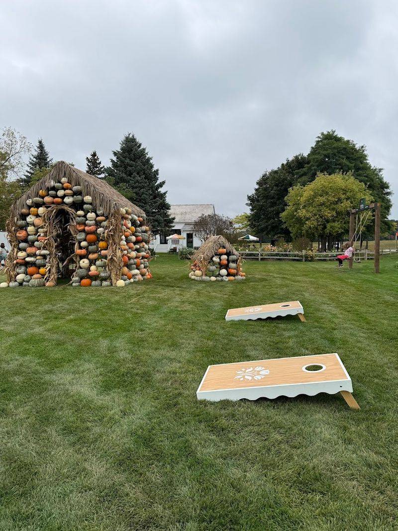 Family-Friendly Activities Beyond The Flowers
