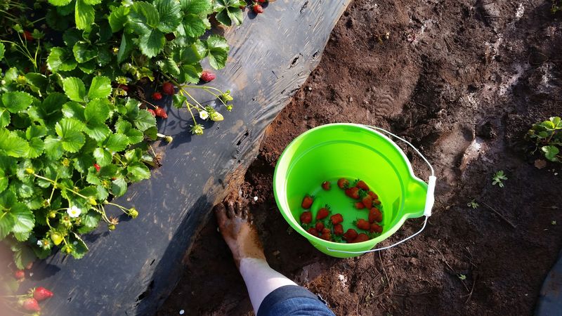 The Hours And Days You Need To Know Before You Go