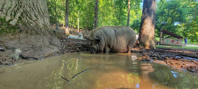 The People Behind The Mission: Bonnie, Jeff, And Their Dedicated Team