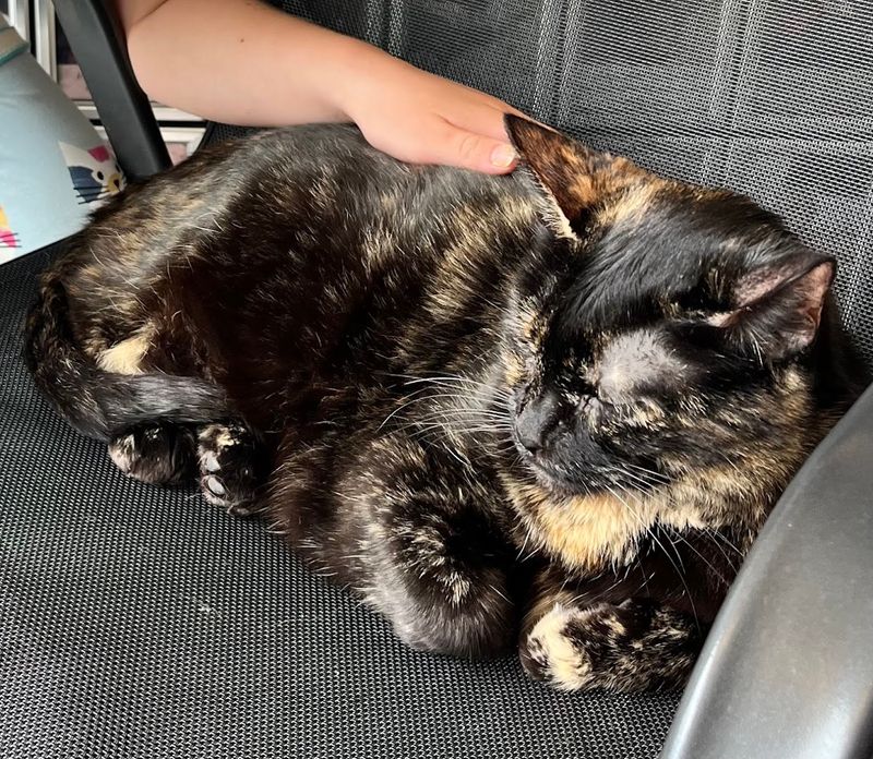 Why A Visit Here Stays With You Long After You Leave