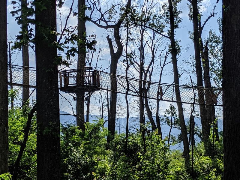 The Panoramic Mountain Views From 50 Feet Up