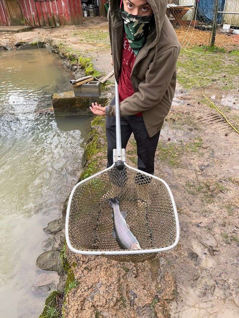 How The Catch-And-Cook Process Works