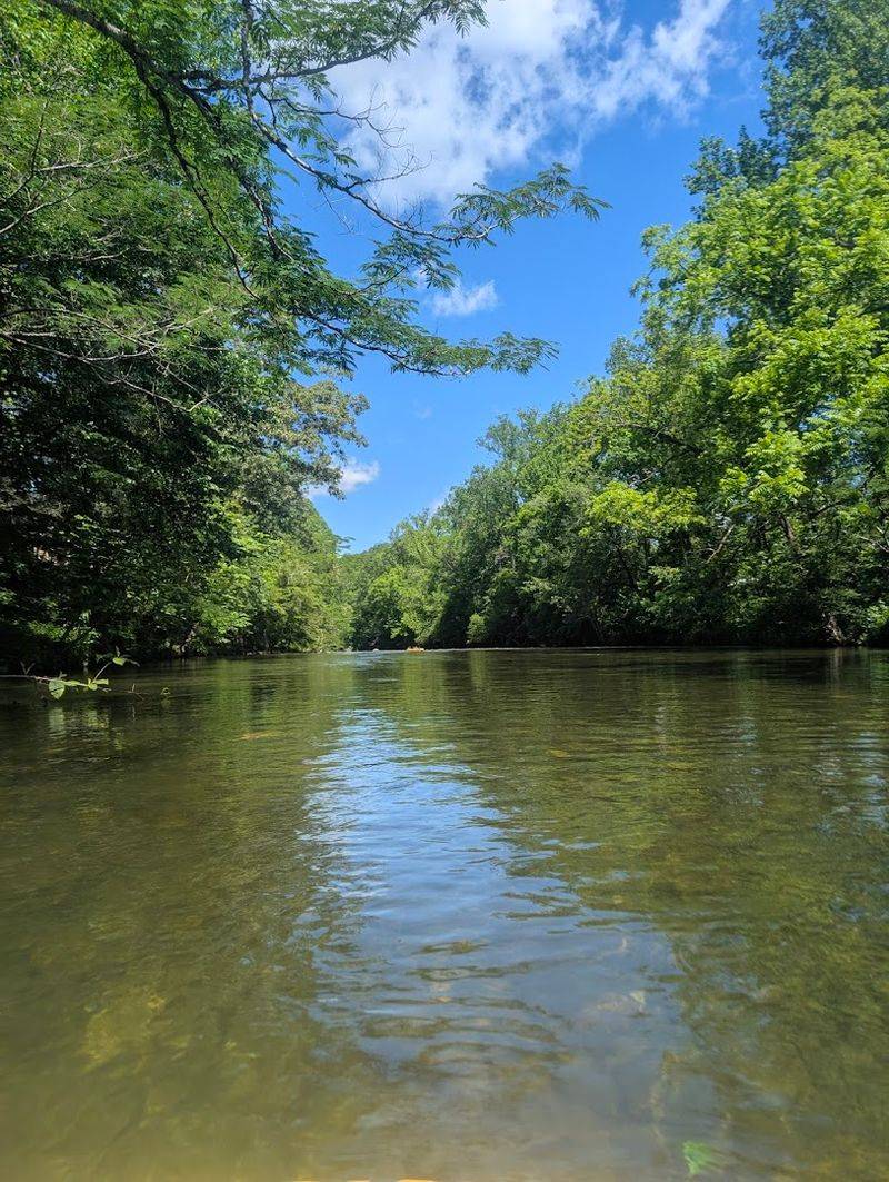 The Little River Setting That Makes Every Float Feel Like A Reward
