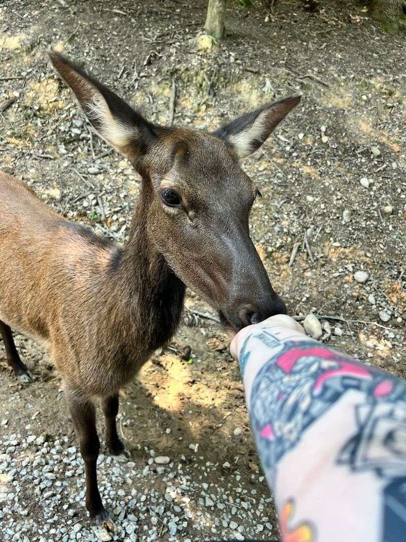 Practical Tips For Making The Most Of Your Visit