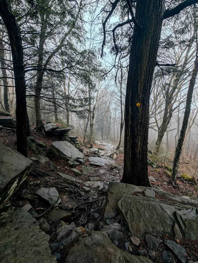 The Path Toward Panther Mountain