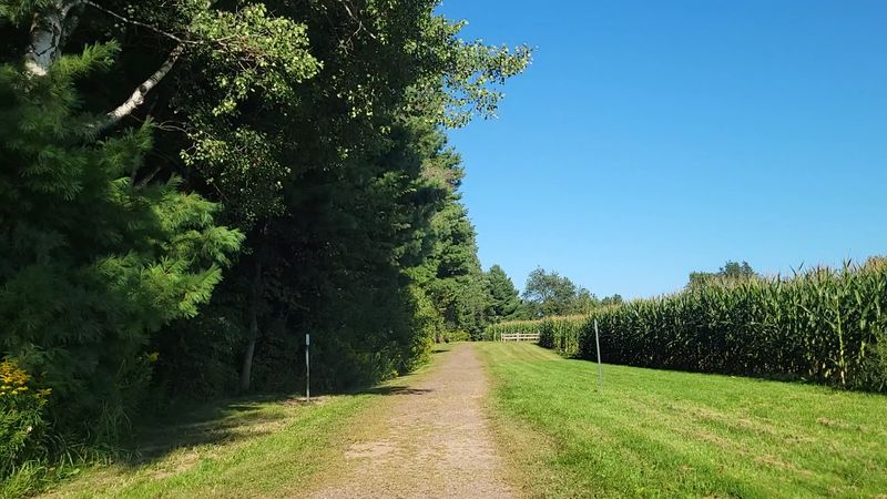 A Quiet Wisconsin Town That's Home To A Global Curiosity