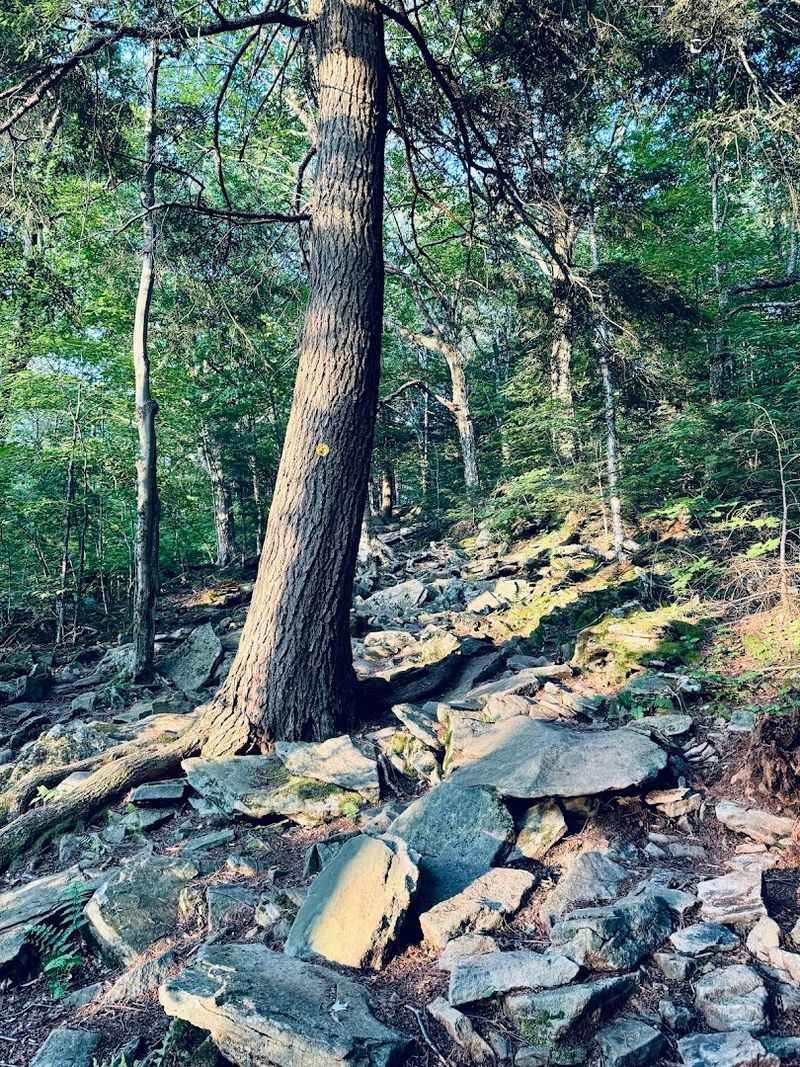 Rocky, Steep, And Completely Worth It