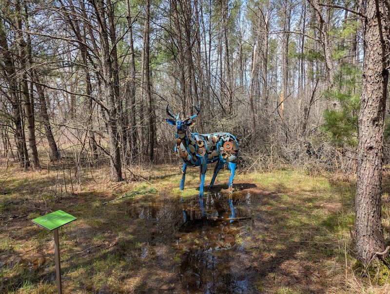 More Than Thirty Sculptures Hidden Among The Trees