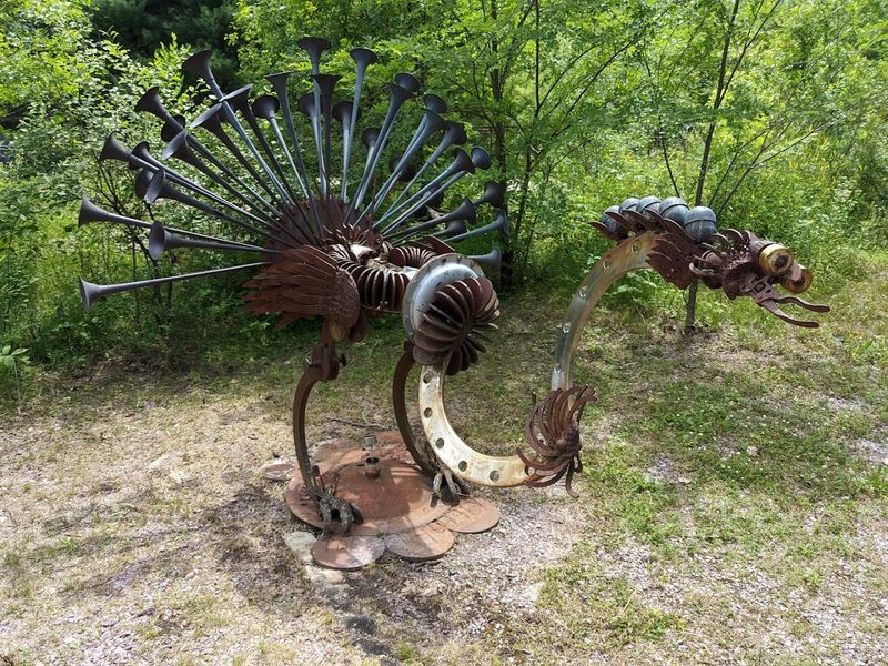 A Garden Filled With Imagination