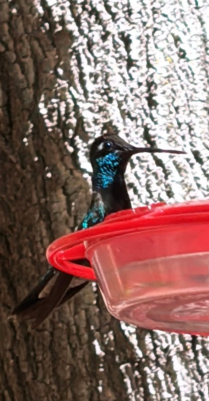 What Gives This Nature Destination Such Strong Appeal