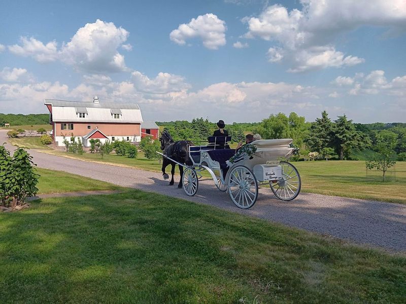 Horse-Drawn Carriages And Simple Living