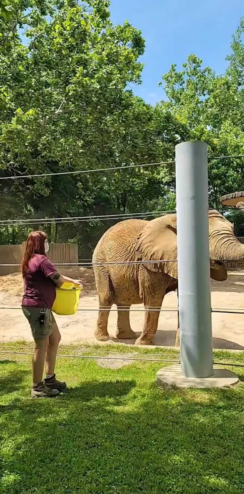 Close Encounters Program With Behind-The-Scenes Animal Access