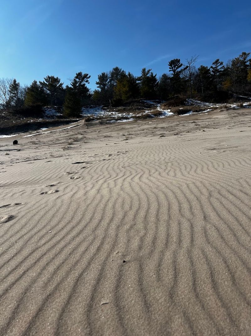 Point Beach State Forest