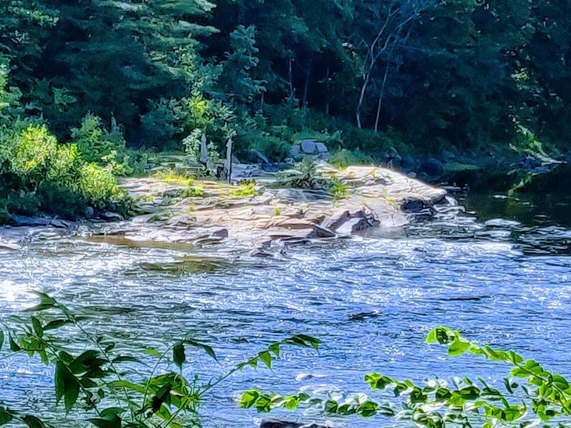 Guides Who Turn A River Trip Into Something Worth Telling People About