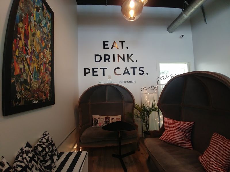 The Cafe Setup Makes It Easy To Settle In And Stay A While