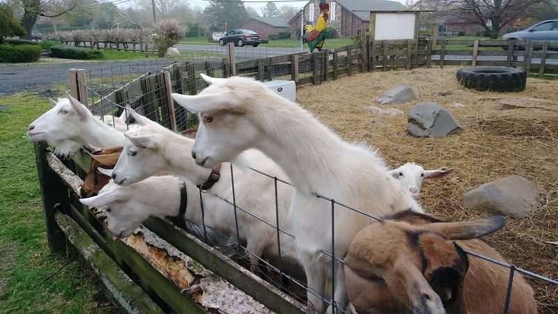 Planning Your Visit To Make The Most Of It