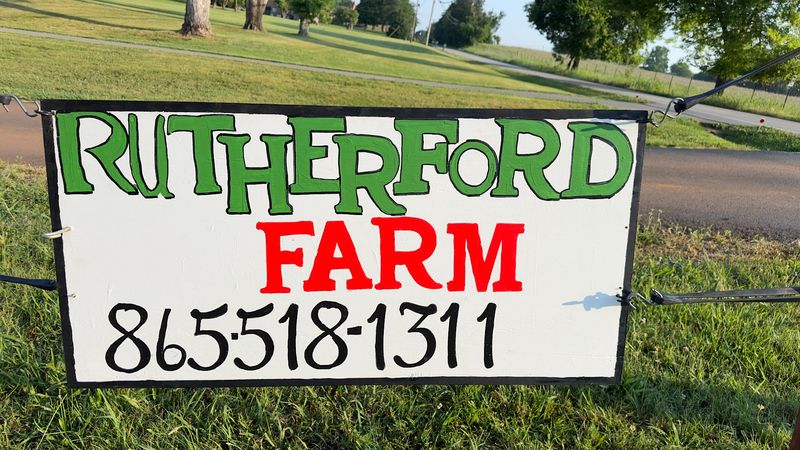 Tips From Real Visitors To Help You Have The Best Experience