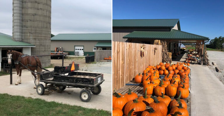 Why Indiana Amish Farm Stands Make Seasonal Produce Feel So Special