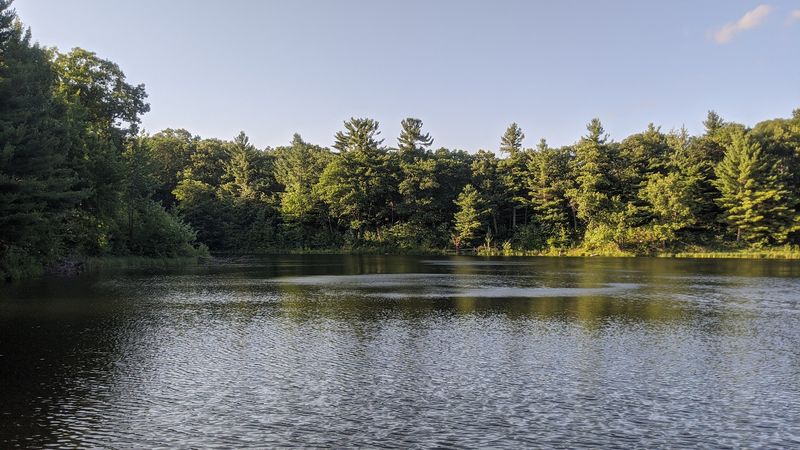The Best Time To Experience Its Beauty
