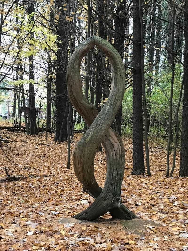 A Place Where Art And Nature Collide