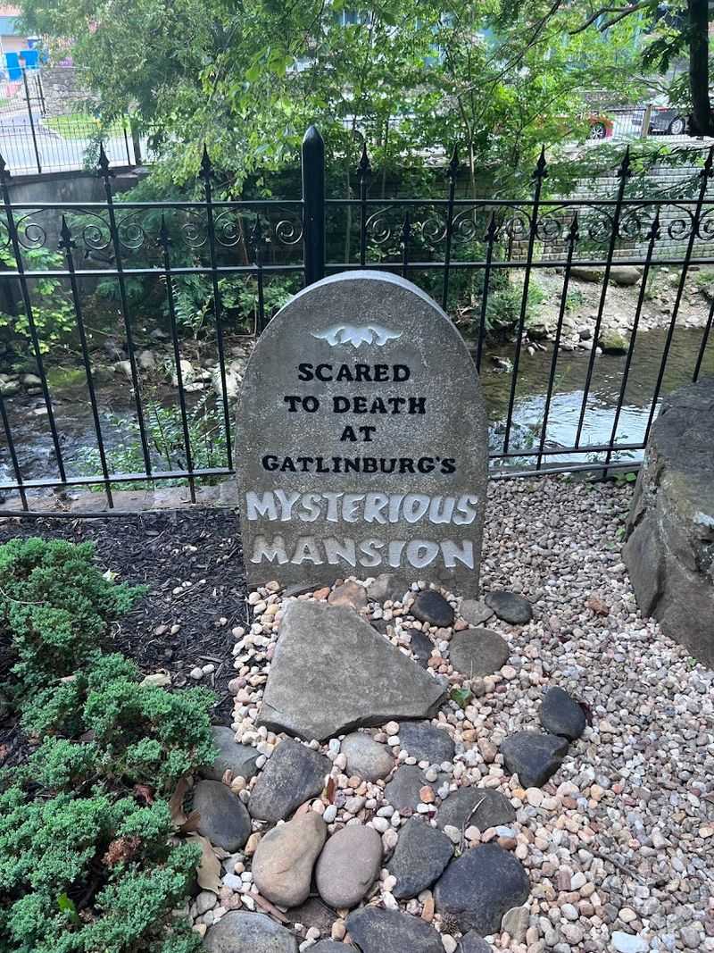 How The Location On River Road Adds To The Experience