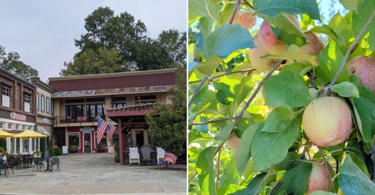 Why This Cozy Georgia Town Is Drawing Comparisons To Asheville