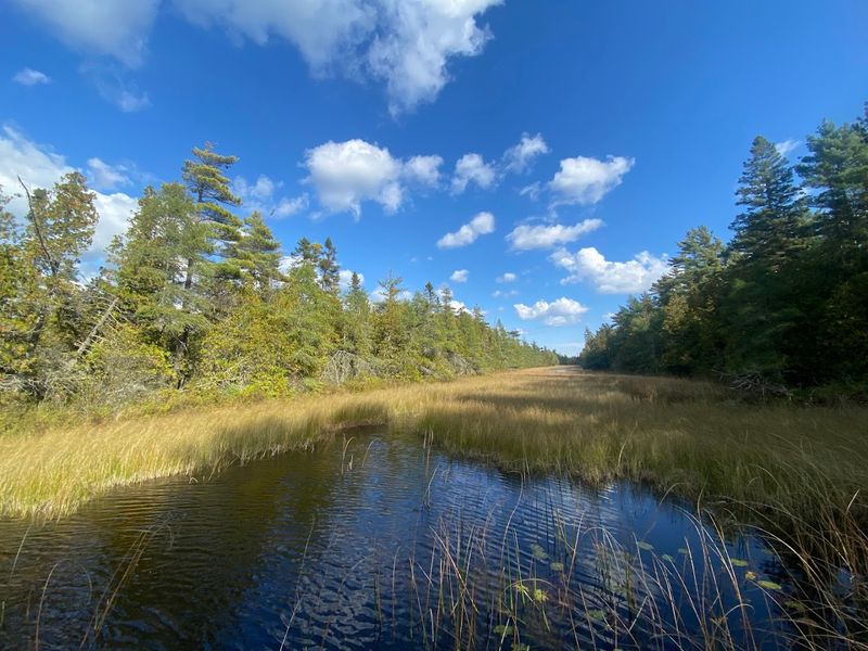 A Peaceful Birdwatching Haven Along The Lake Michigan Shore