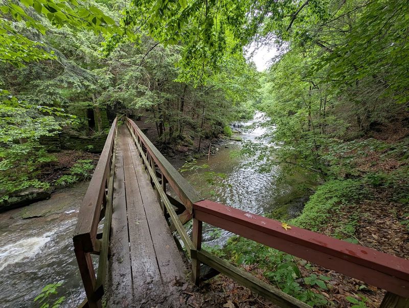 What To Expect On Your First Visit To The Preserve