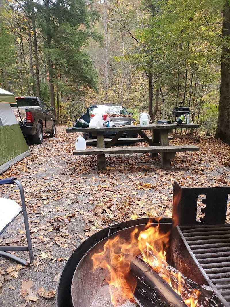 Practical Details That Make Every Visit Run Smoothly