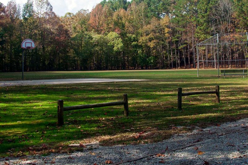 Recreational Activities That Go Well Beyond A Simple Nature Walk