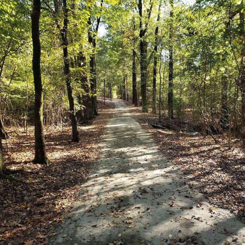 Walking And Biking Paths Through Mature Greenery
