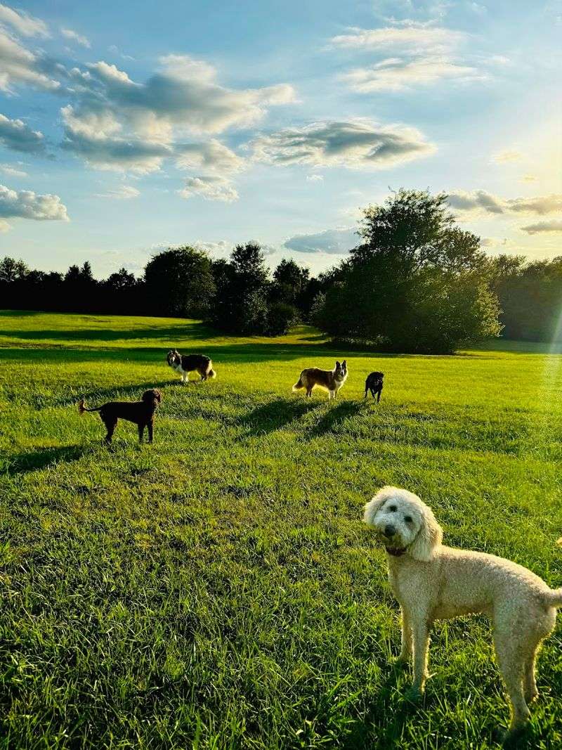 Practical Tips To Make Your Visit To Shelby Farms As Smooth As Possible