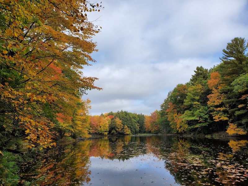 Fall Colors That Transform The Entire Island
