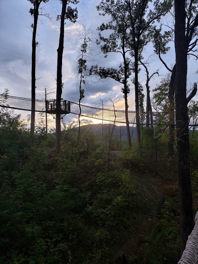 What The Night Experience Adds To The Canopy Walk