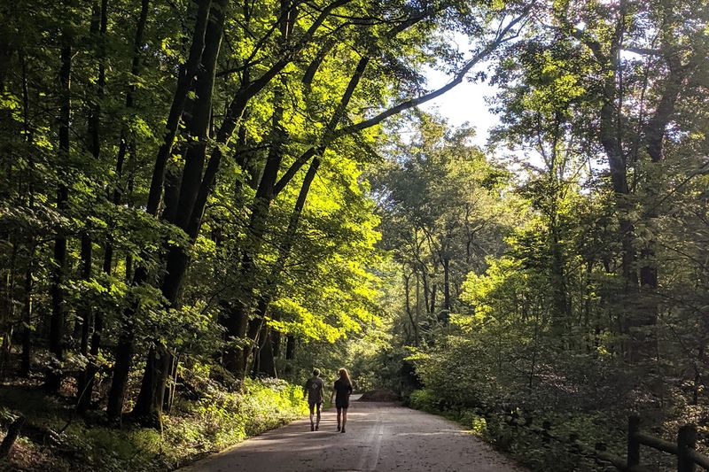 The Paved Lake Trail And What Makes It Special