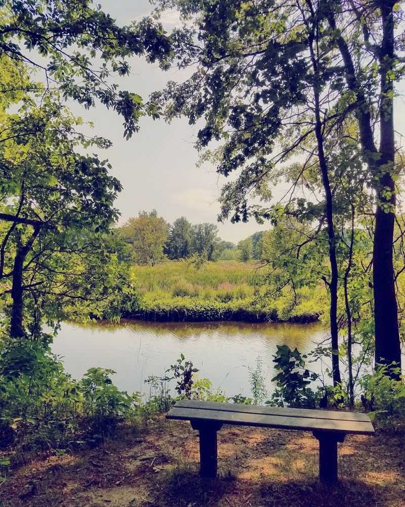 Best Times To Visit For A Quiet Experience