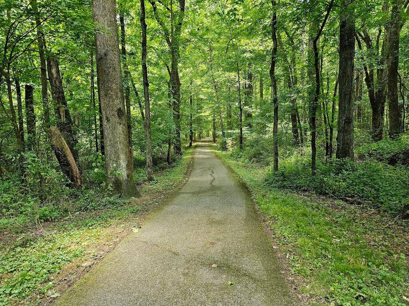 Hiking Trails That Reward Every Fitness Level